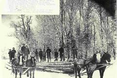 20130729123611-528a6d1e