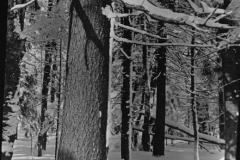 20130729123623-600e5be0